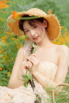 妖精的森林